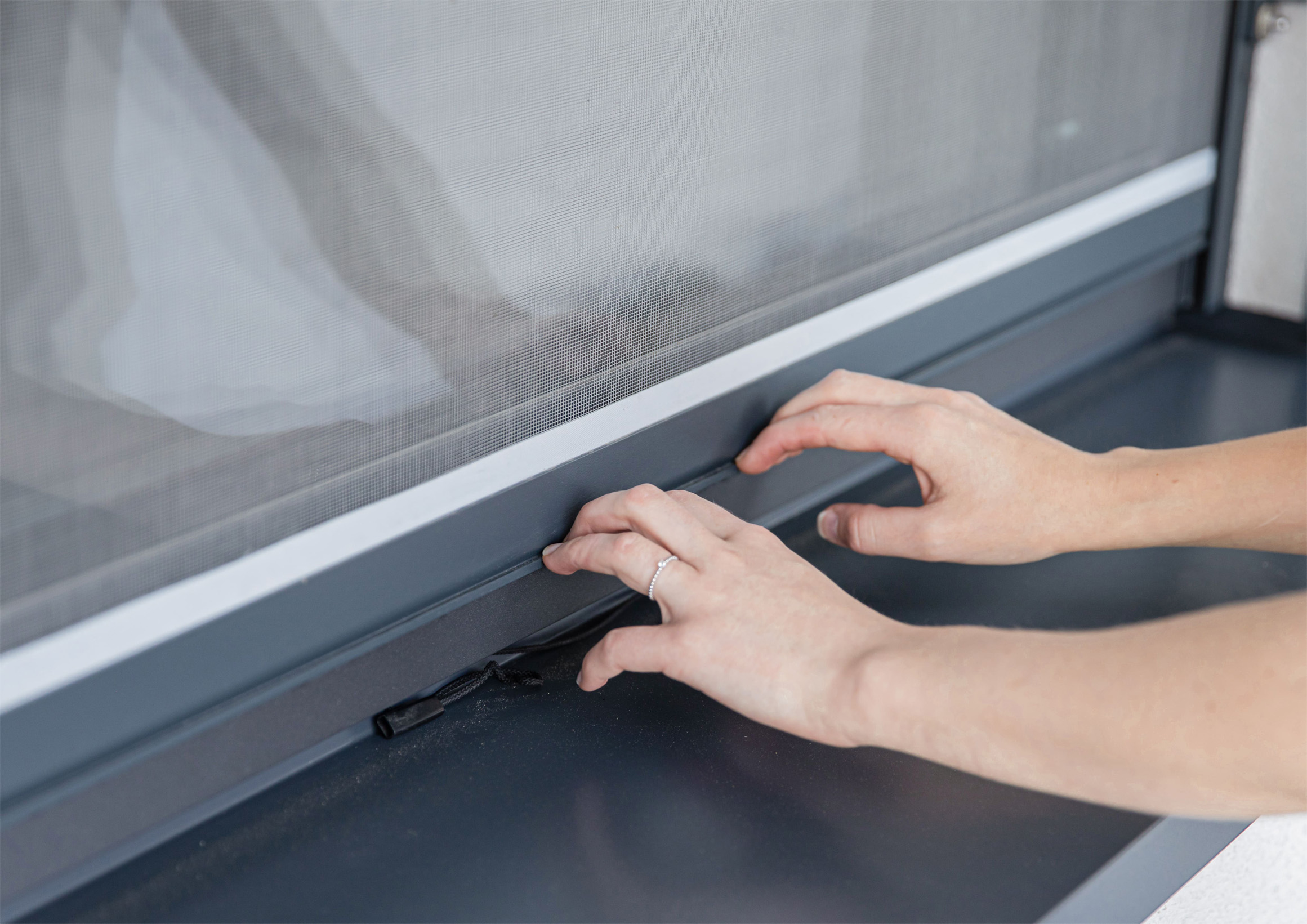 p-insektenschutzrollo-p-r23024-001